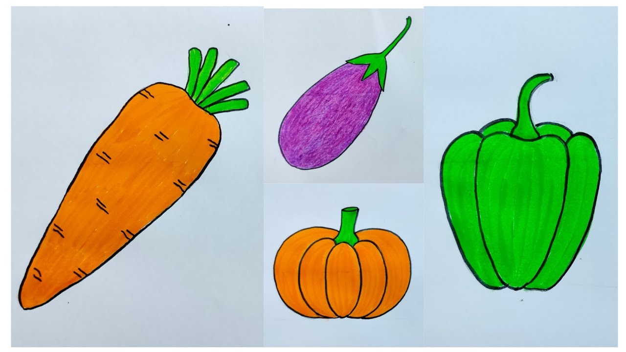freehand drawing vegetables 586139 Vector Art at Vecteezy